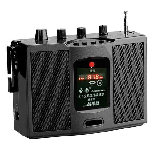 圣韵v306无线扩音器二胡神器笛子古筝乐器小蜜蜂大功率便携式音箱-领