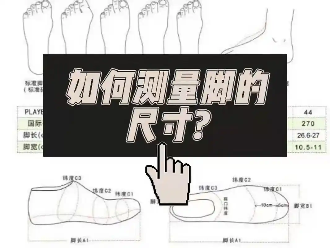 如何测量自己脚的具体尺寸?脚的测量方法 脚的测量方法: 1,脚长:最长