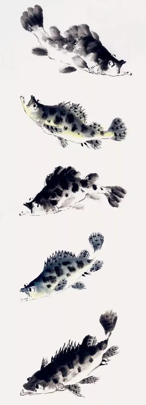 技法探索 | 鱼类画法解析·鳜鱼(11)_中国书画报_零二七艺考