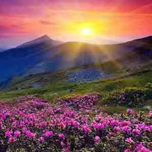 微信日出的图像_微信头像图片大全