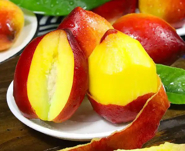 鲜纯天然山东桃皇后红油桃酸甜爽滑汁水四溢一口就桃醉