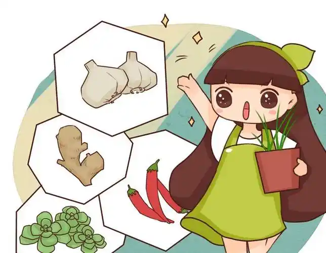 原创让生菜百吃不厌口感脆嫩不变色做法非常简单