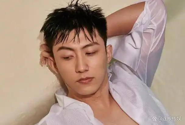 黄景瑜其实娱乐圈有另一条路可以走叫以退为进