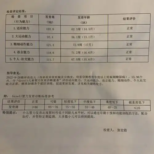 价值80米的gesell发育评估表
