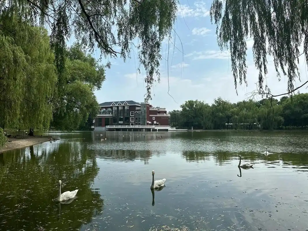 北京紫玉山庄毗邻奥运村,奥林匹克森林公园