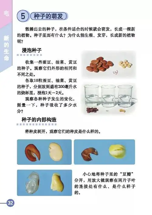 4月9日 四年级科学 《2.5种子的萌发》 - 美篇