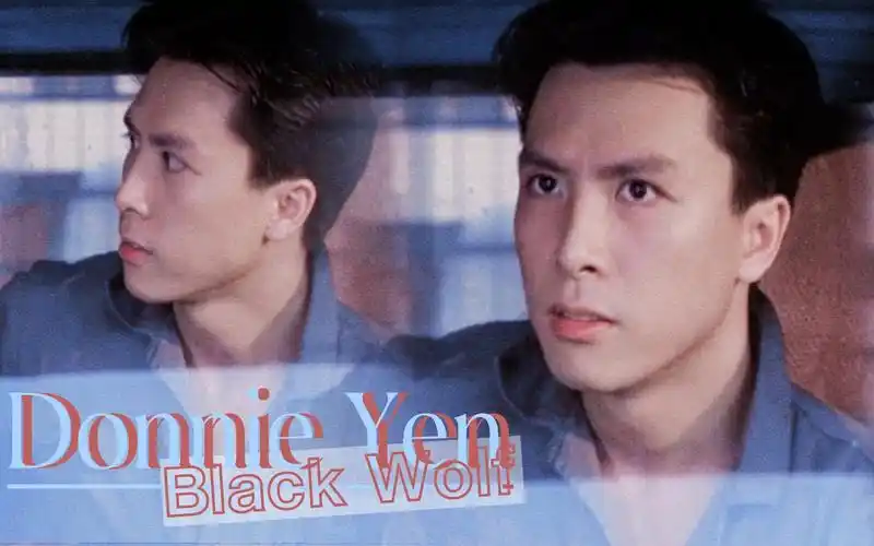 【甄子丹】天哪,他年轻的时候真的很年轻