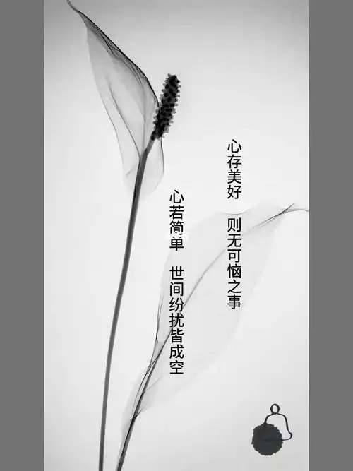 心若简单世间纷扰皆成空#女性成长#心灵成长#禅悟人生#朋友圈文案