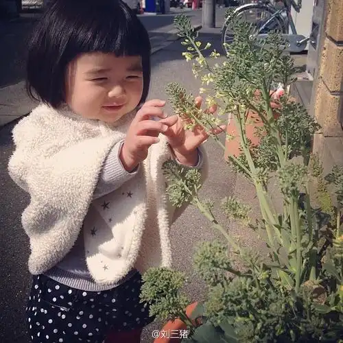 这个小女孩是谁?求解答.帮忙找找还有其他照片没.好可爱