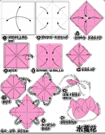 莲花的折法(莲花的折法大全教程)
