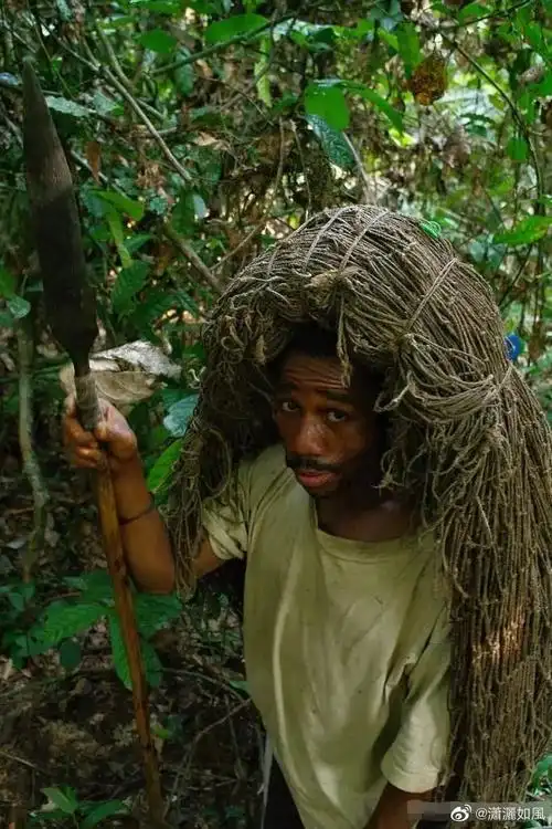 为什么身材如此矮小的俾格米人,能在10岁前结婚生子?