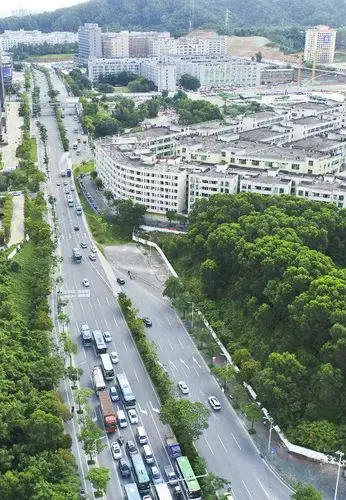 政企合力道路征拆,坂田街道"巧妇"能为无米之炊