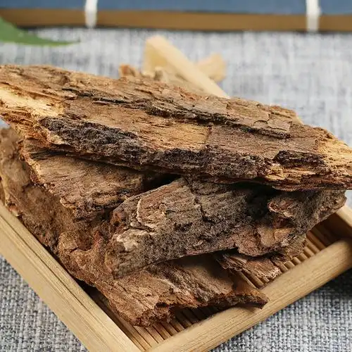 中药材店铺樟树皮樟树树皮香樟木树皮樟皮樟木皮50g实体店