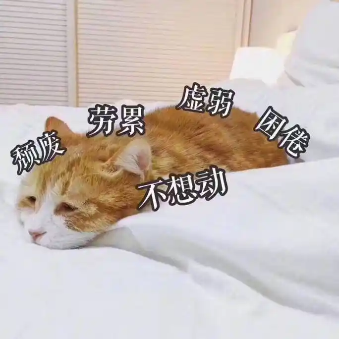 婚姻生活里永远充斥着鸡毛蒜皮的小事:婆媳矛盾,身边男人不给力