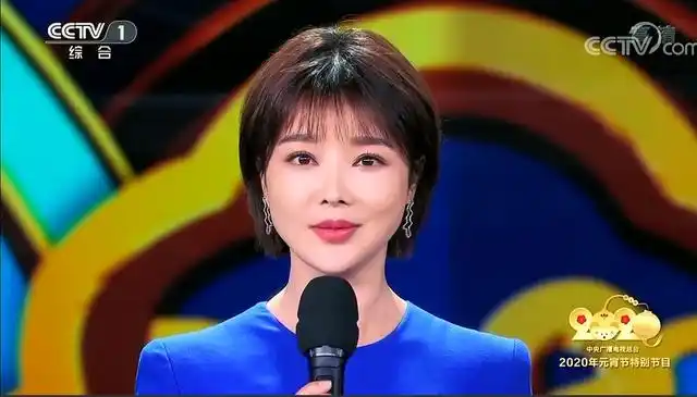 四位主持人是任鲁豫,朱广权,李梓萌,蝴蝶,都是央视新闻联播主播,他们