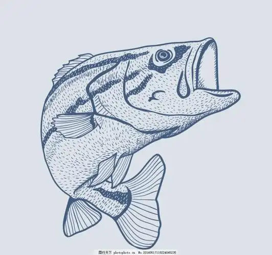 卡通鱼 手绘 海洋鱼 热带鱼 漫画 鱼类 海鱼 动漫10种海洋鱼的简笔画