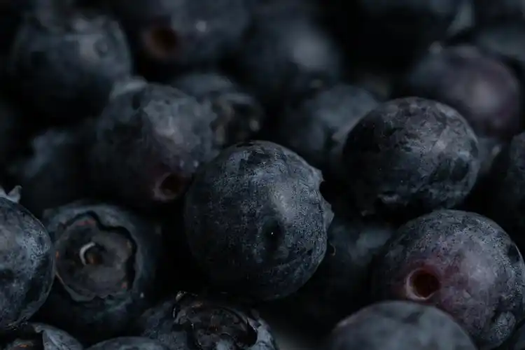 黑色蓝莓水果