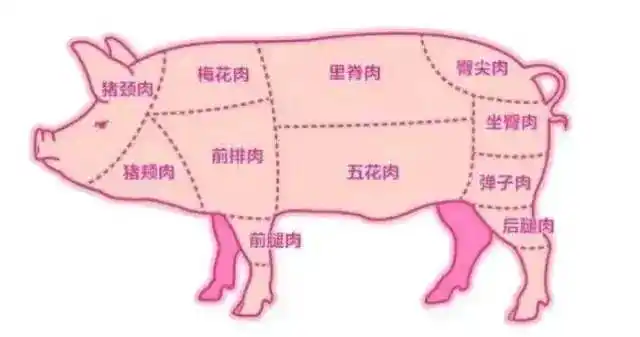 一张图教你如何辨别不同部位猪肉既然能大口吃肉的机会来了,不要错过!