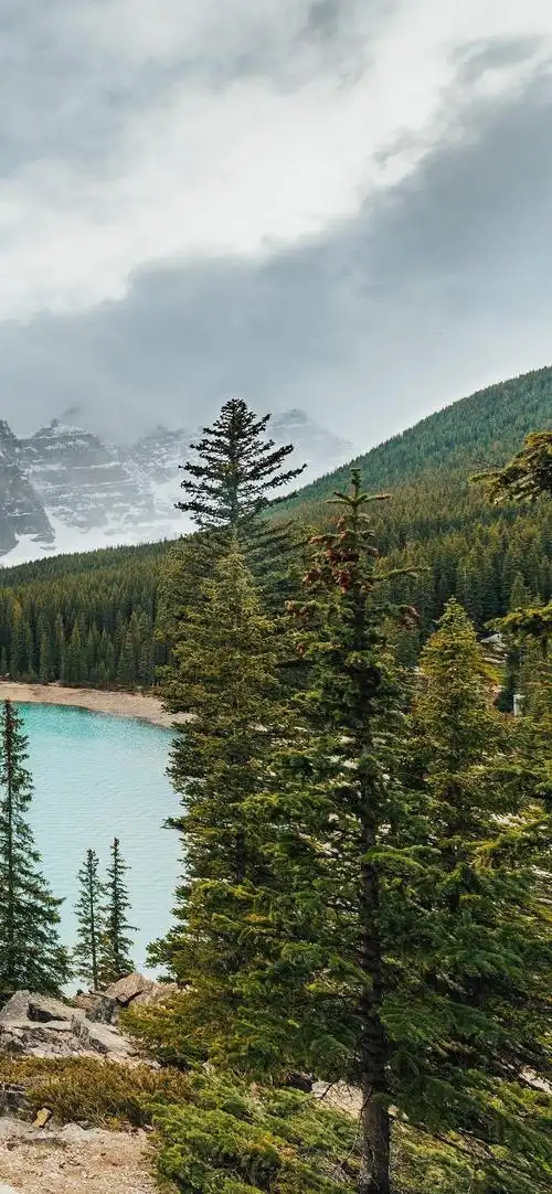星空- 堆糖,美图壁纸兴趣社区超美大自然风景摄影高清手机壁纸