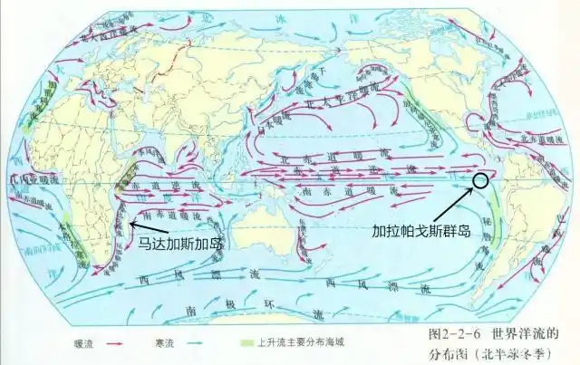 为何马达加斯加没有企鹅而赤道上却有?因为寒流和暖流的不同作用