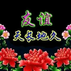 友谊天长地久