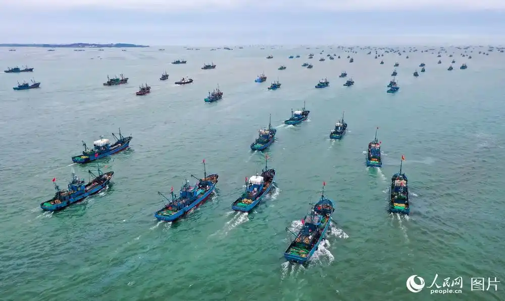 9月1日,在山东荣成石岛渔港,渔民们驾驶渔船出海捕鱼.李信君/摄