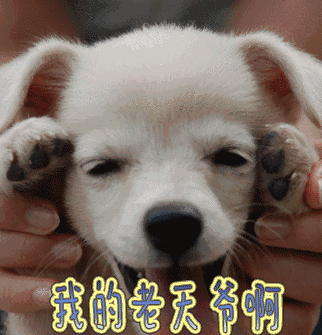 银行正式宣布!哈尔滨人都炸锅了!以后生活竟是