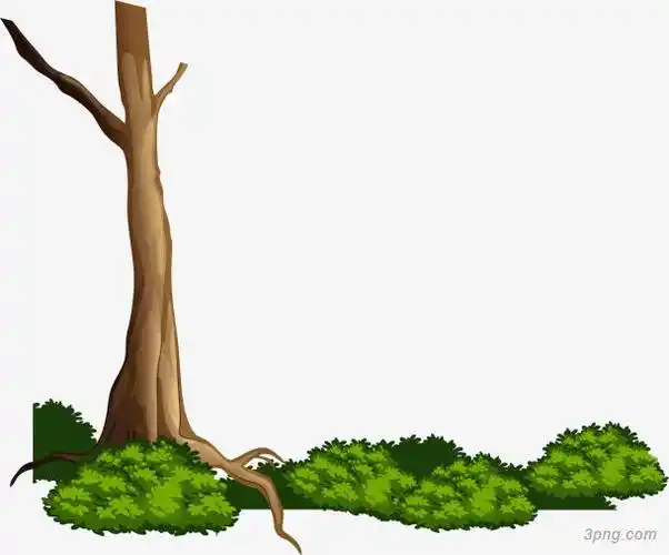矢量手绘树干png素材透明免抠图片动植人物