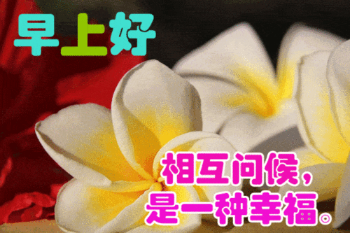 11月25日最漂亮早上好动态表情图片大全,早晨好动图美图大全_祝福