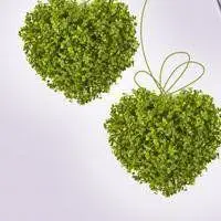 心形头像唯美_唯美浪漫心形形状图案头像_微信头像图片大全