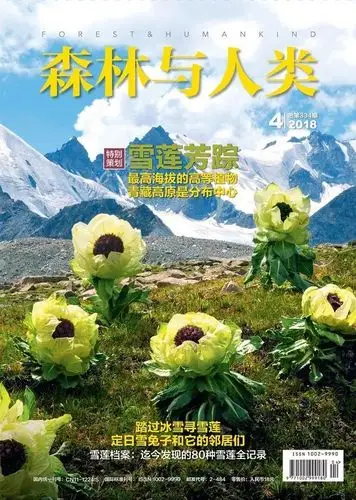 雪莲从你的全世界路过