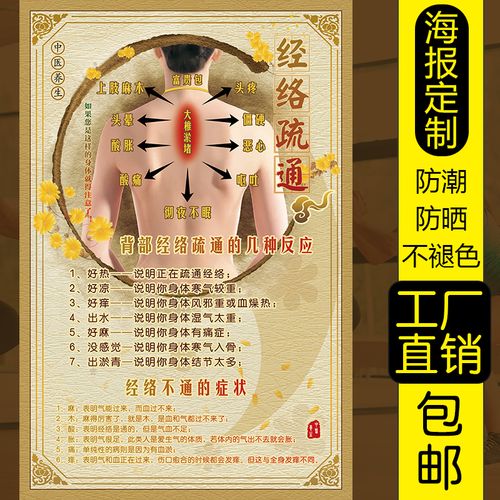 共241 件背部经络养生图相关商品