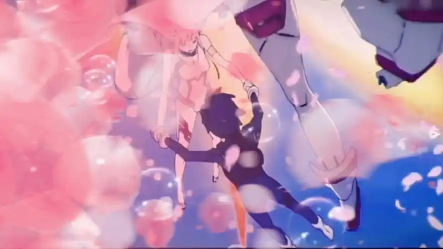 国家队02,鹤望兰无凋零之时,比翼鸟永世长存.