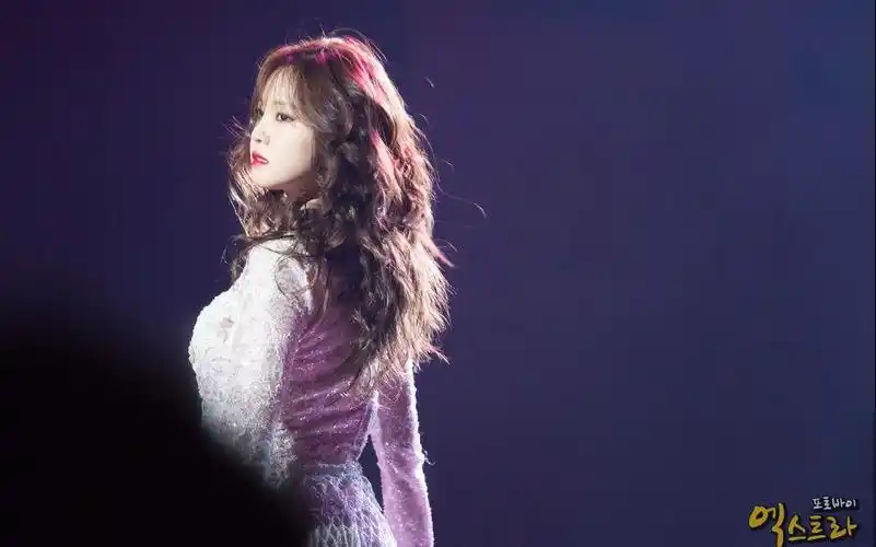 161217apink演唱会 孙娜恩 dance for you & drunk