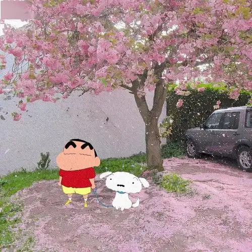 朋友圈背景图精选最近比较火的封面图