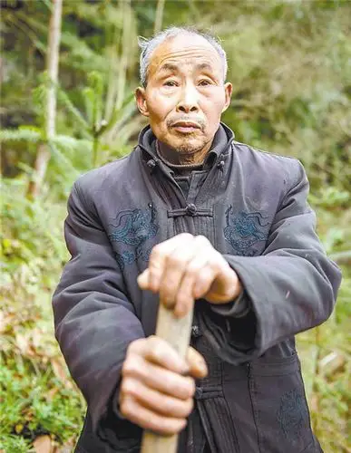 重庆:73岁老人用36年种下34107棵树