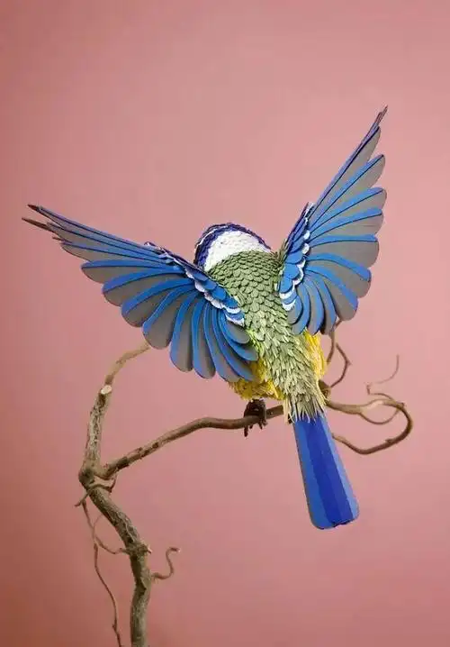 拿张纸做个立体纸雕,体会空间层次之美