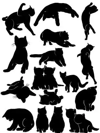 35宠物猫狗品牌商标犬类logo标识63512科技电音猫图案创造设计标识