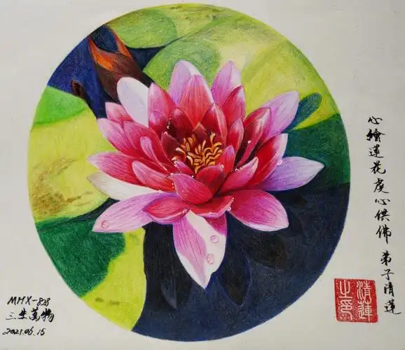 啥时画到100张73004彩铅荷花