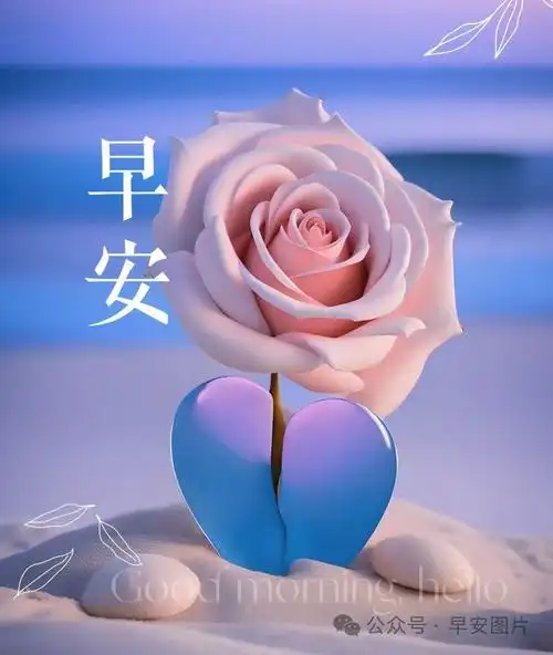 今日最新早安动态图片,早安温馨祝福图片
