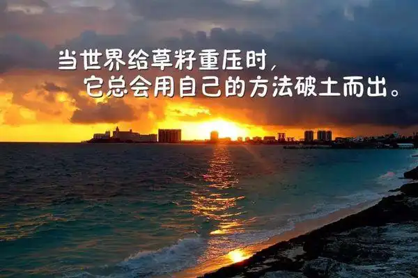 坚持不下去,看看励志句子,句句精辟通透,鼓励自己坚持下去