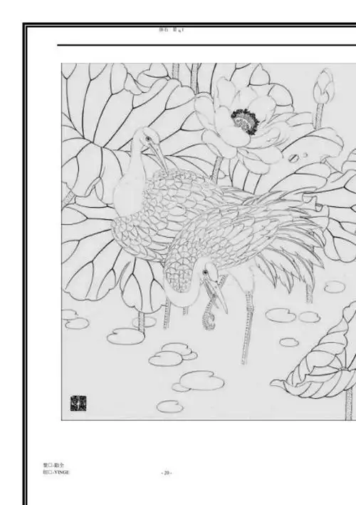 工笔画花鸟图白描干货没事可以临摹下收藏吧