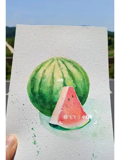 西瓜水彩湿画法练习