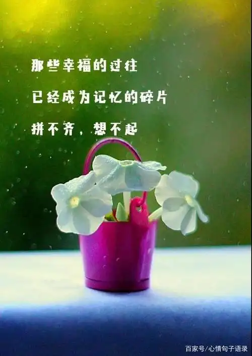 适合发朋友圈感慨心情的句子