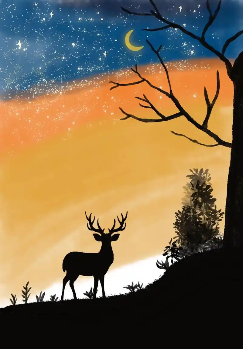 procreate绘画打卡|临摹|《星空麋鹿》 临摹自小红书 - 抖音