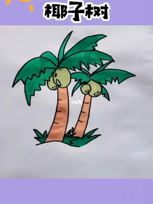 椰子树简笔画教程