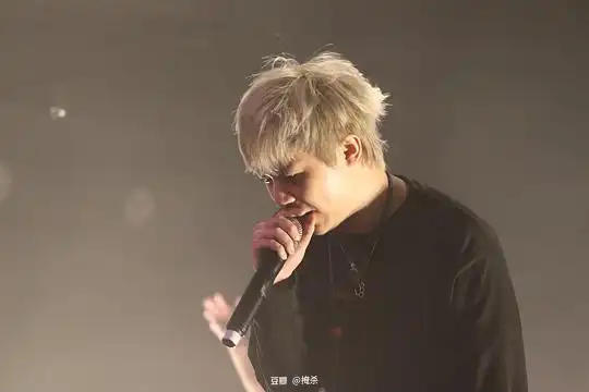 掩杀的相册赵九维2021巡演