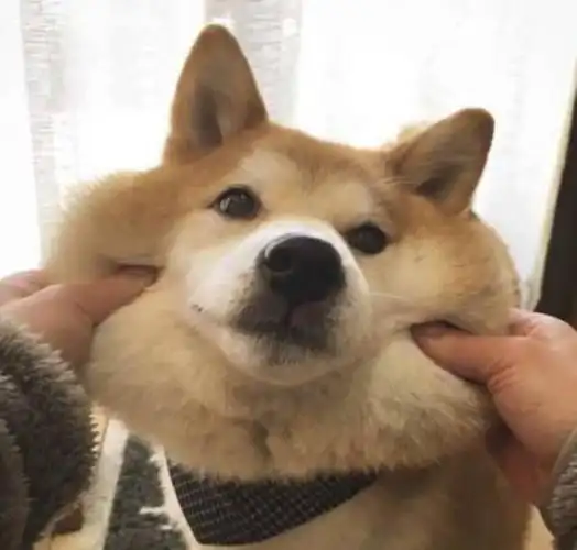 不期待的经典句子(微信最近很火的心情句子) - 天华易学