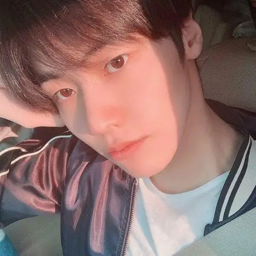 无组规日Ⅰ这是哪位男爱豆啊好会自拍