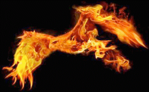 火焰gif燃烧gif小鸟gif闪动gif